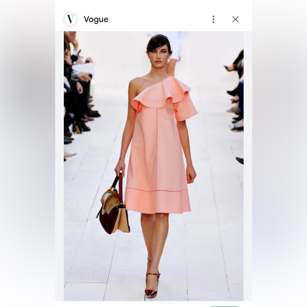 Runway Chloe Blush Dress Sz Large